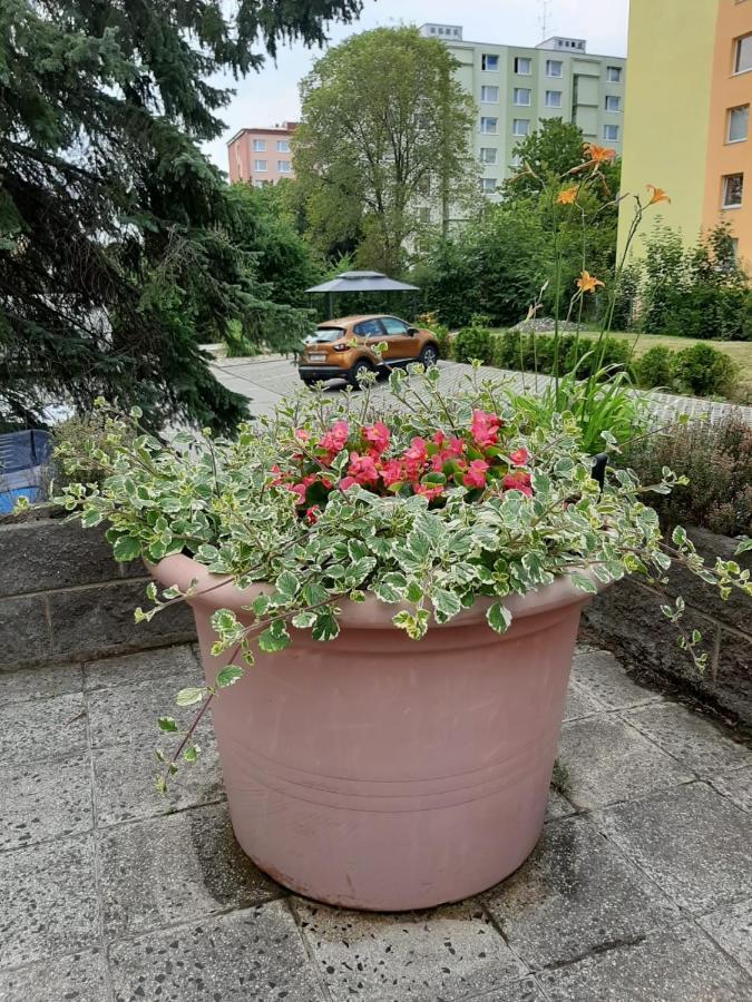 Apartament Zluty Apartman A6 V Chomutove Zewnętrze zdjęcie